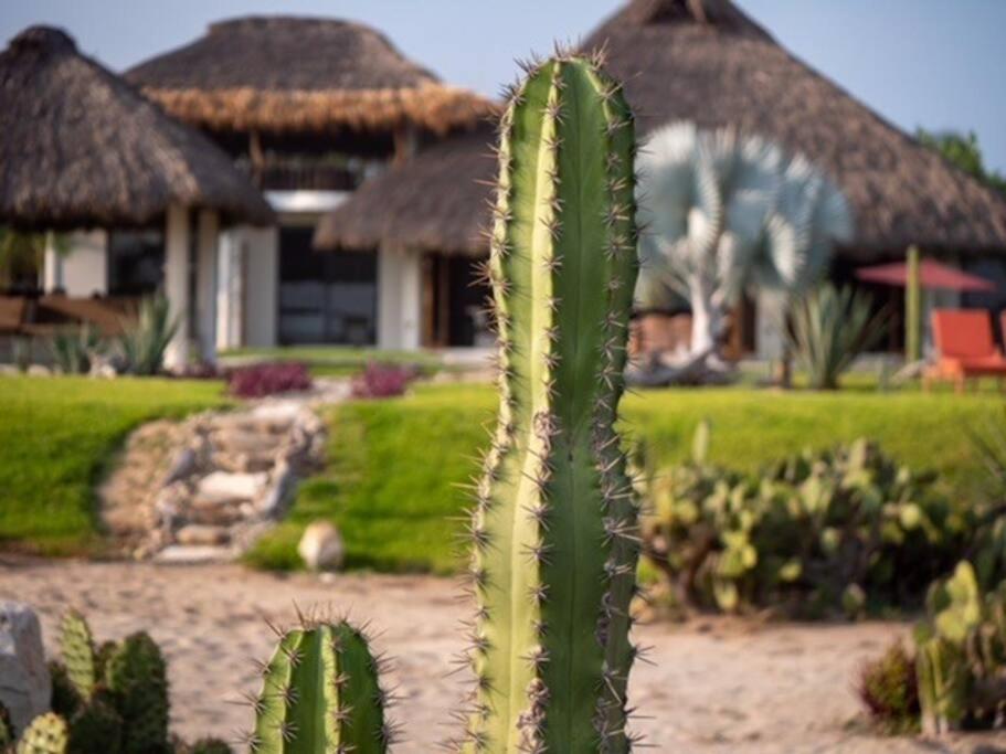 Villa De Las Rocas Puerto Escondido  Zewnętrze zdjęcie